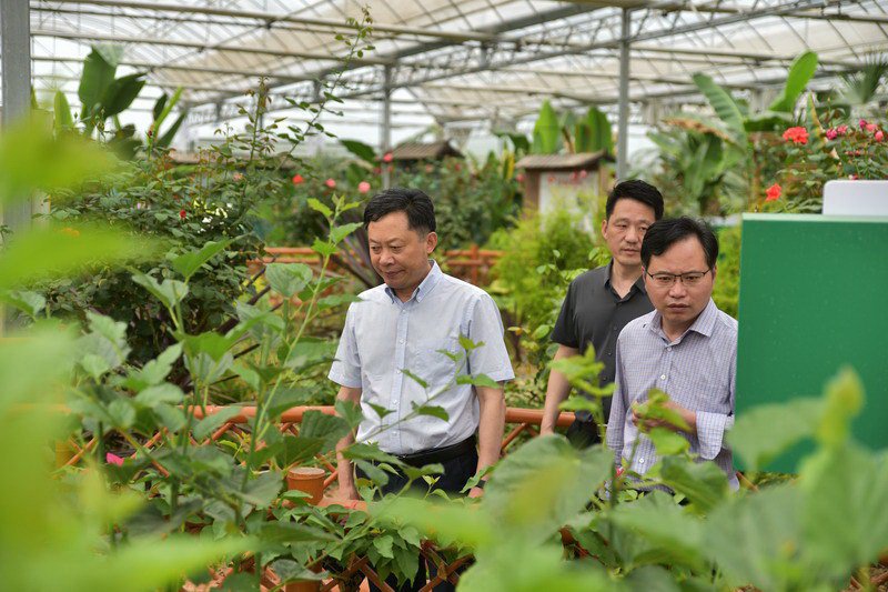 實地考察創(chuàng)新示范基地