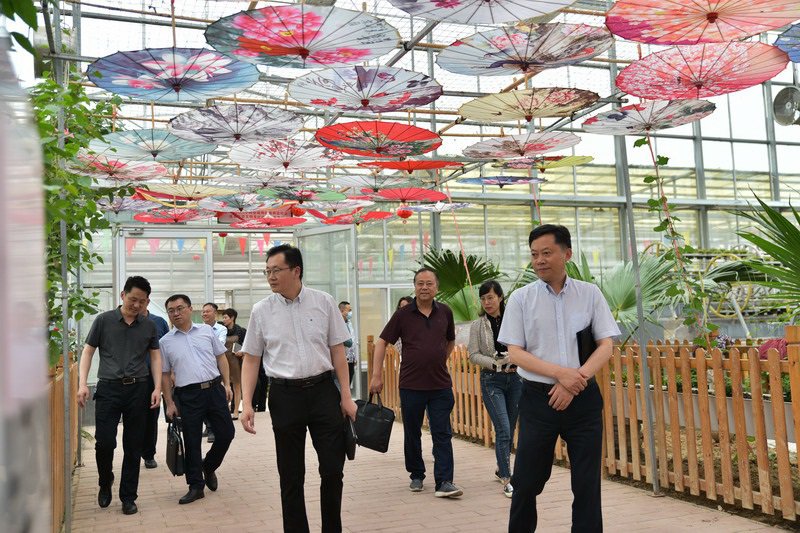 實地考察創(chuàng)新示范基地